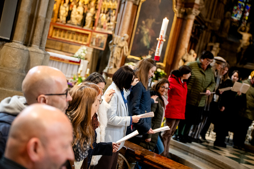 Erzdiözese Wien/Schönlaub