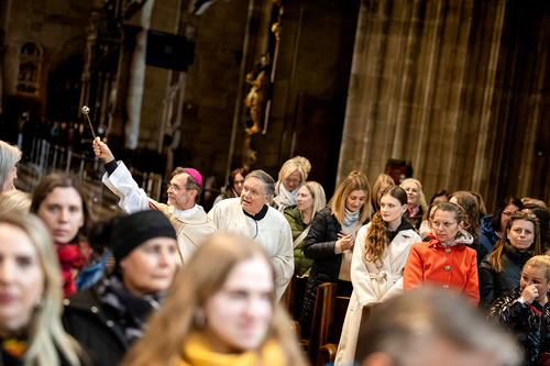 Erzdiözese Wien/Schönlaub