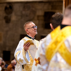 Göttliche Liturgie Stephansdom